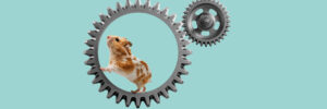 Ein Hamster in einem Laufrad